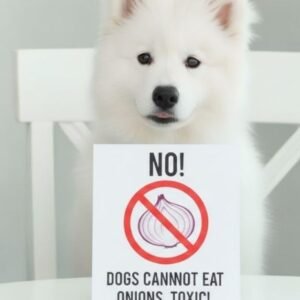 Can Dogs Eat Food With Onions