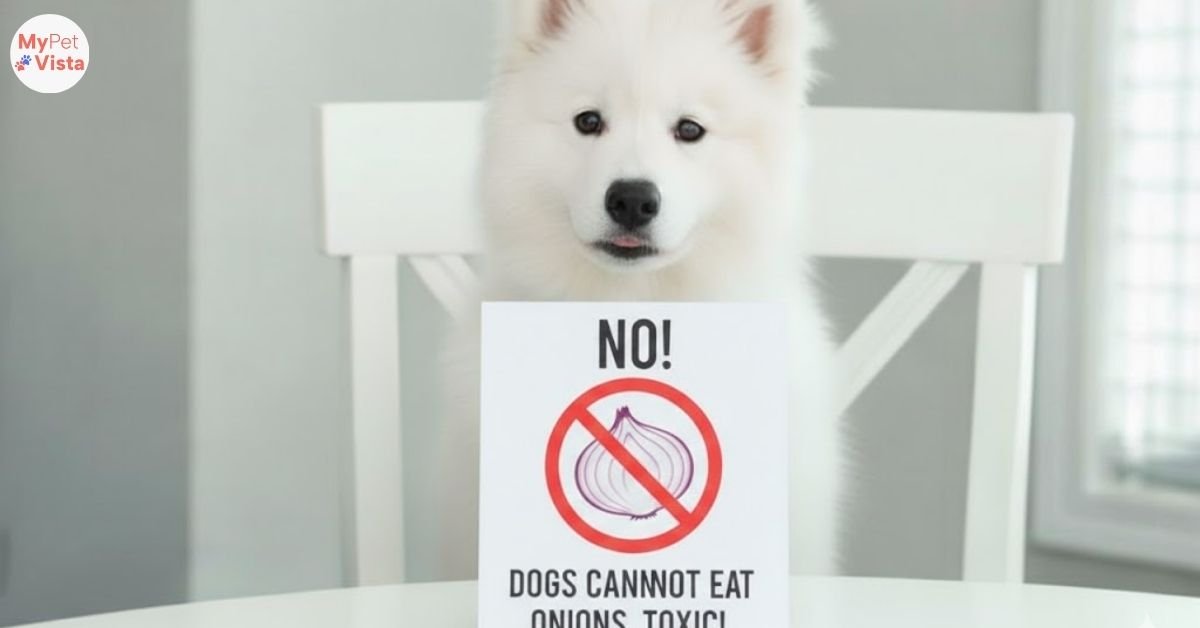Can Dogs Eat Food With Onions