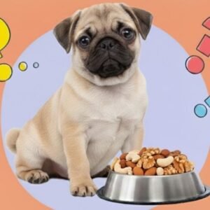 Can Dogs Eat Nuts