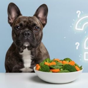 What Vegetables Can Dogs Eat