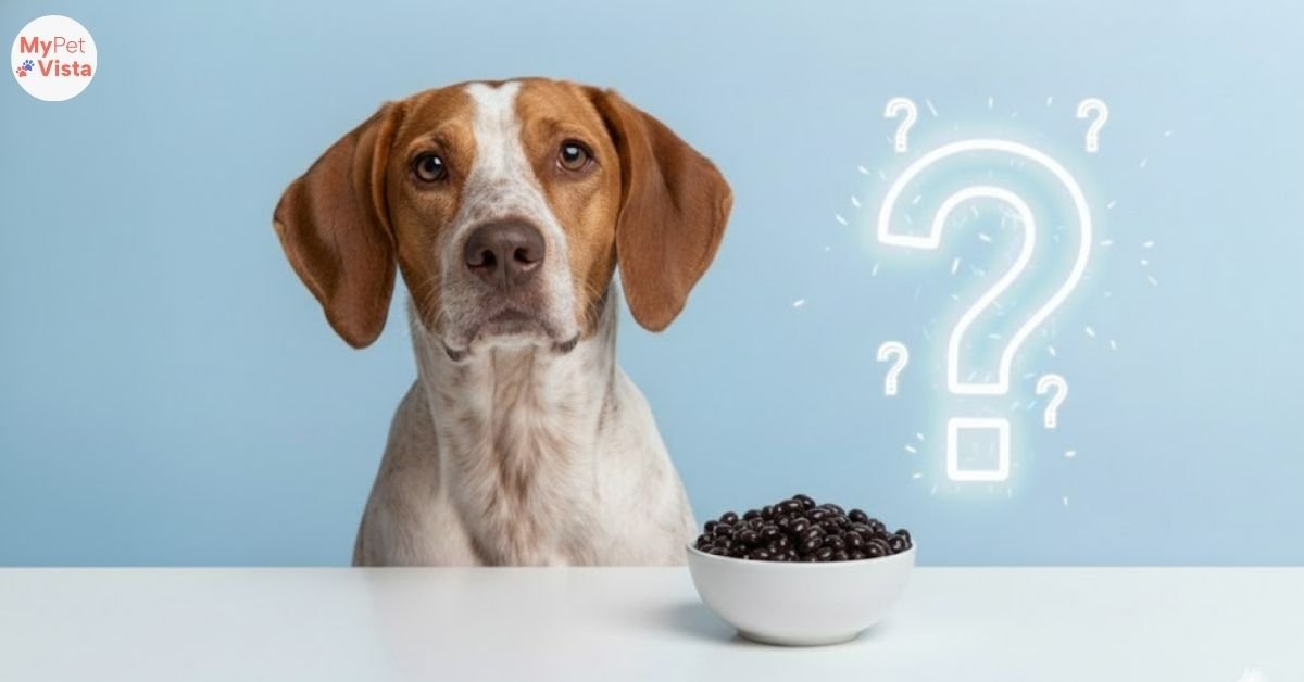 Can Dogs Eat Black Beans