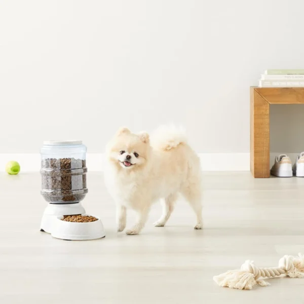 Amazon Basics Gravity Pet Food Feeder – Small, 6-Pound Capacity (Gray)