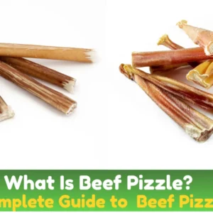 What Is Beef Pizzle?