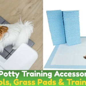 Dog Potty Training Accessories
