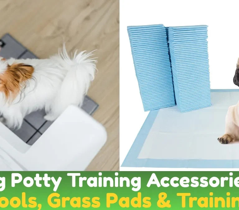 Dog Potty Training Accessories