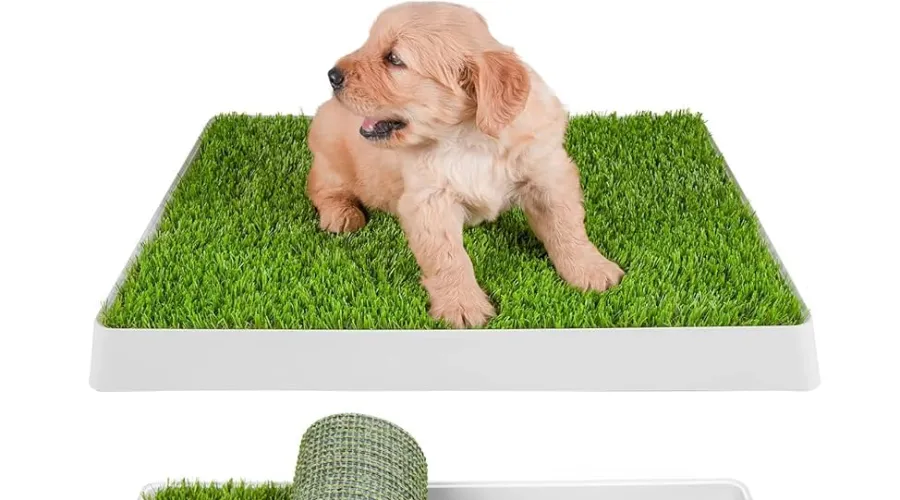 Dog Potty Training Aids Fake Grass Systems