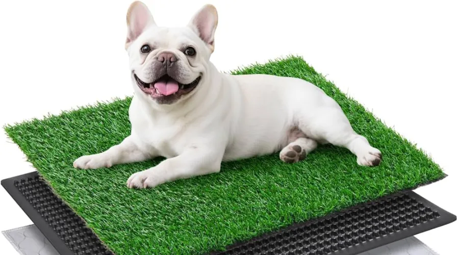 Dog Potty Training Aids Grass Patch Systems