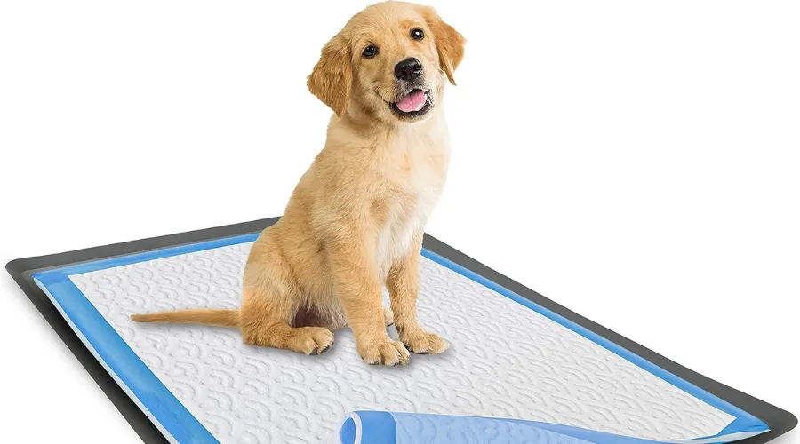 Dog Potty Training Pads and Holders