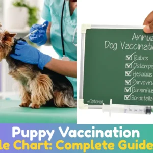 Puppy Vaccination Schedule Chart