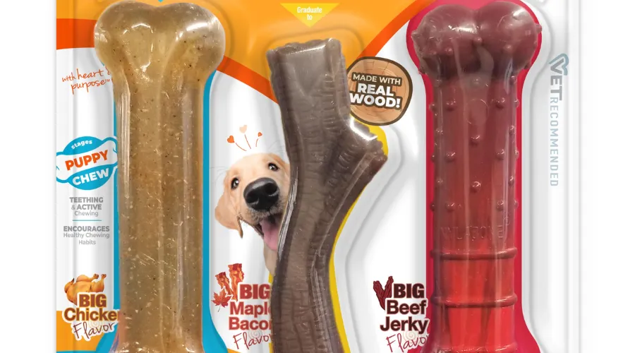 Signs Your Puppy is Losing Baby Teeth