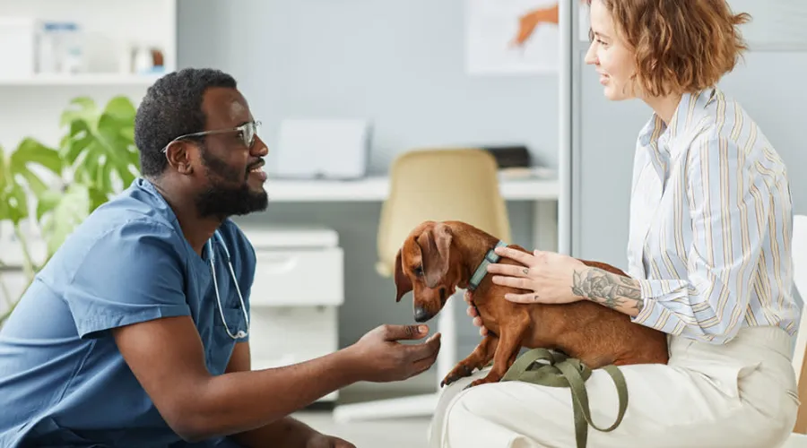 Why the Puppy Shots Schedule is Important