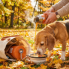 Pumpkin Spice Latte For Dogs