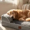 Orthopedic Dog Beds
