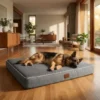 Orthopedic Dog Beds