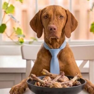 can dogs eat chicken bones
