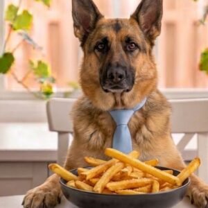 can dogs eat french fries
