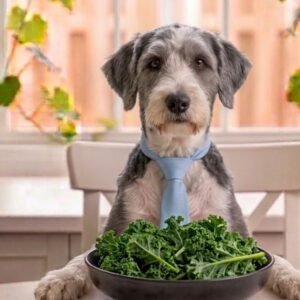 can dogs eat kale