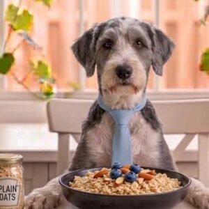 can dogs eat oats