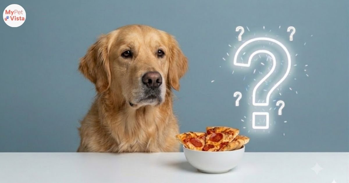 can dogs eat pizza