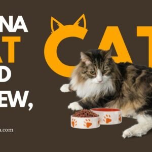 Is Purina good for cats