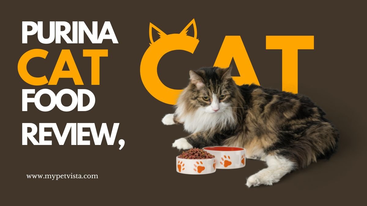 Is Purina good for cats